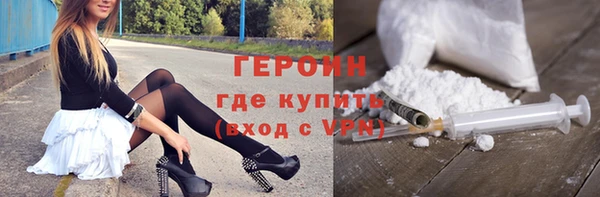 гашик Алексин