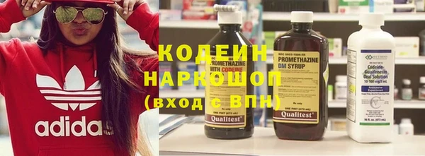 гашик Алексин
