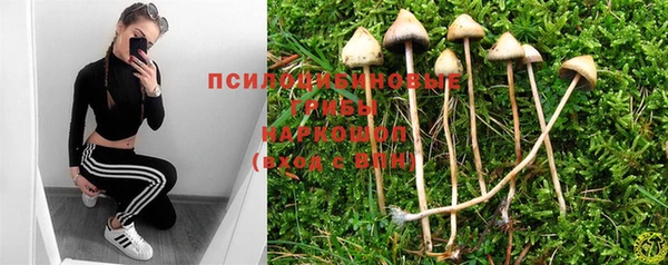 гидропоника Алексеевка