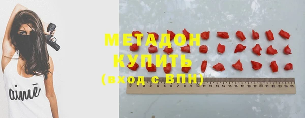 гашик Алексин