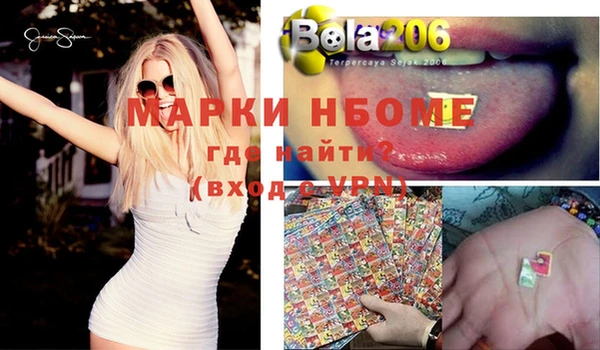 амф Алзамай
