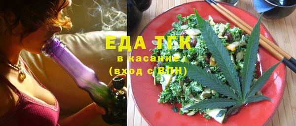 гашик Алексин