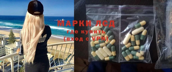 гашик Алексин