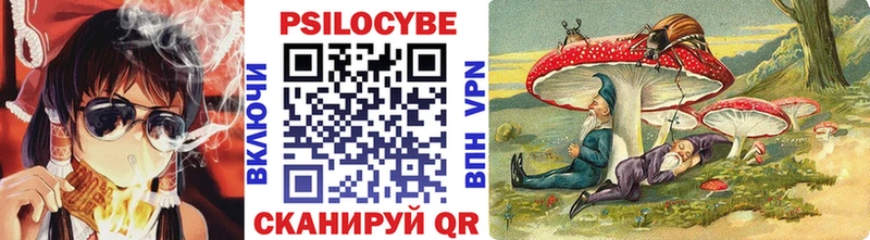 купить   Ижевск  Галлюциногенные грибы Magic Shrooms 