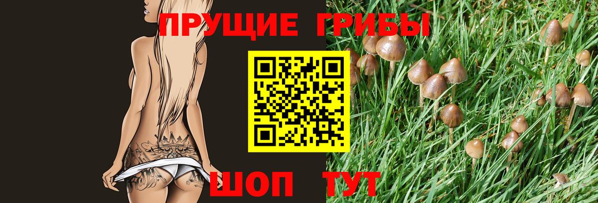 Ижевск  Псилоцибиновые грибы Magic Shrooms  Вход с VPN 